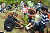 第39回誕生の森記念植樹