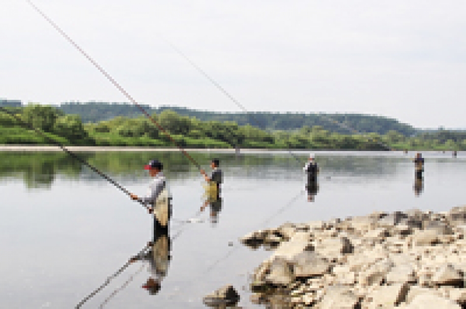 東北鮎人 5adf4d0aa666287c4a89f2f55cd972