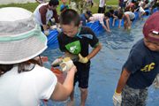 2011魚のつかみどり大会3