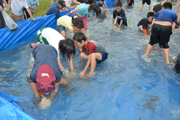 2011魚のつかみどり大会5