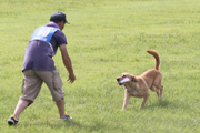 2011年警察犬奥羽日本訓練チャンピオン大会1