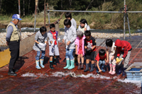 アユやななどを楽しんだ親子で伝統川漁（9月25日、小猿部川）2