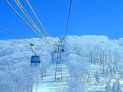 ゴンドラで行く森吉山の樹氷 北秋田市ホームページ 住民が主役のもりのまち