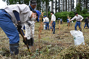 植樹活動を行う北鷹生