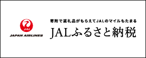 JAL [13KB]