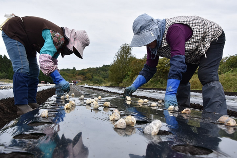 249147c6e68e1a801a2a697b7e1a48 249147c6e68e1a801a2a697b7e1a48