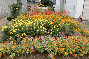 栄第二寿会の花だん