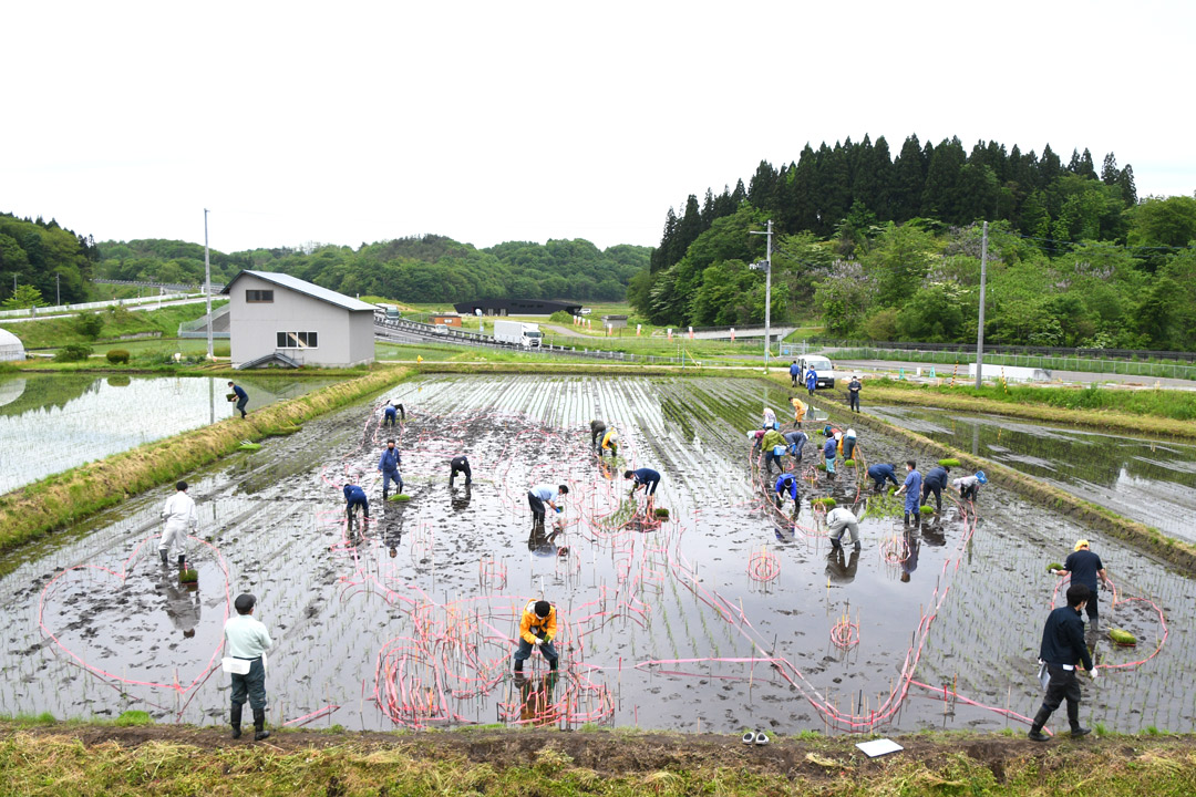 秋田内陸線田んぼアート　田植え