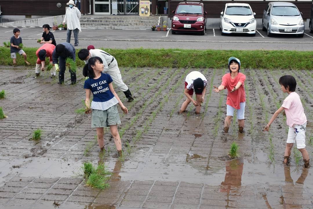  鷹巣東小学校 田植え体験授業