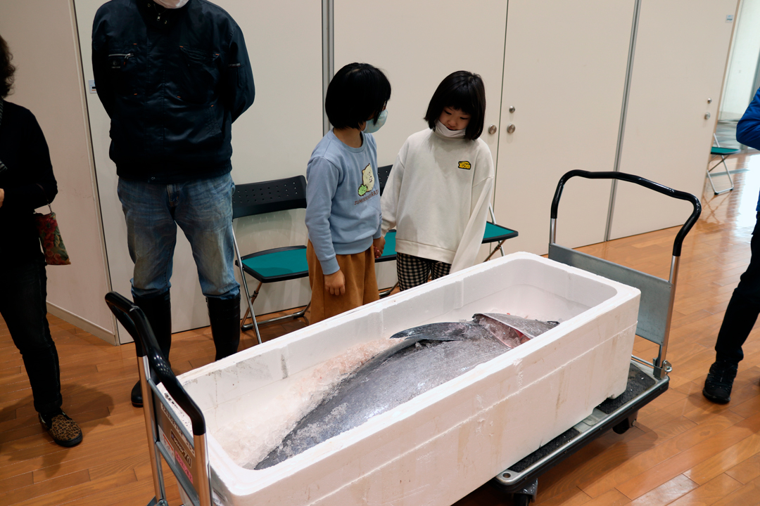 迫力あるマグロに驚く子どもたち