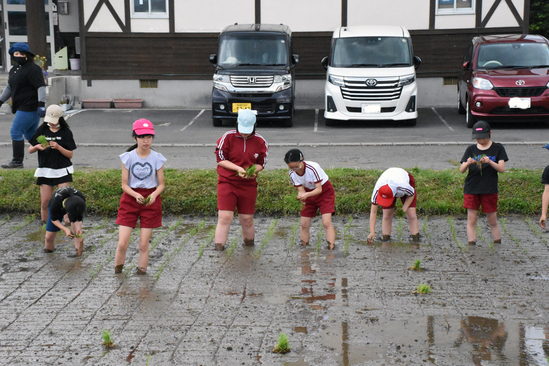 鷹巣東小学校田植え体験