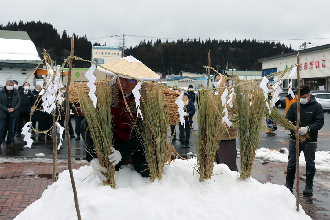 雪中田植え