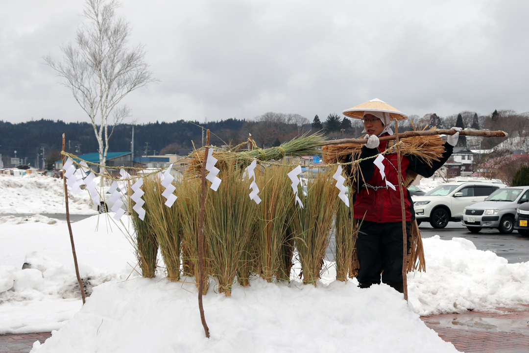  雪中田植え