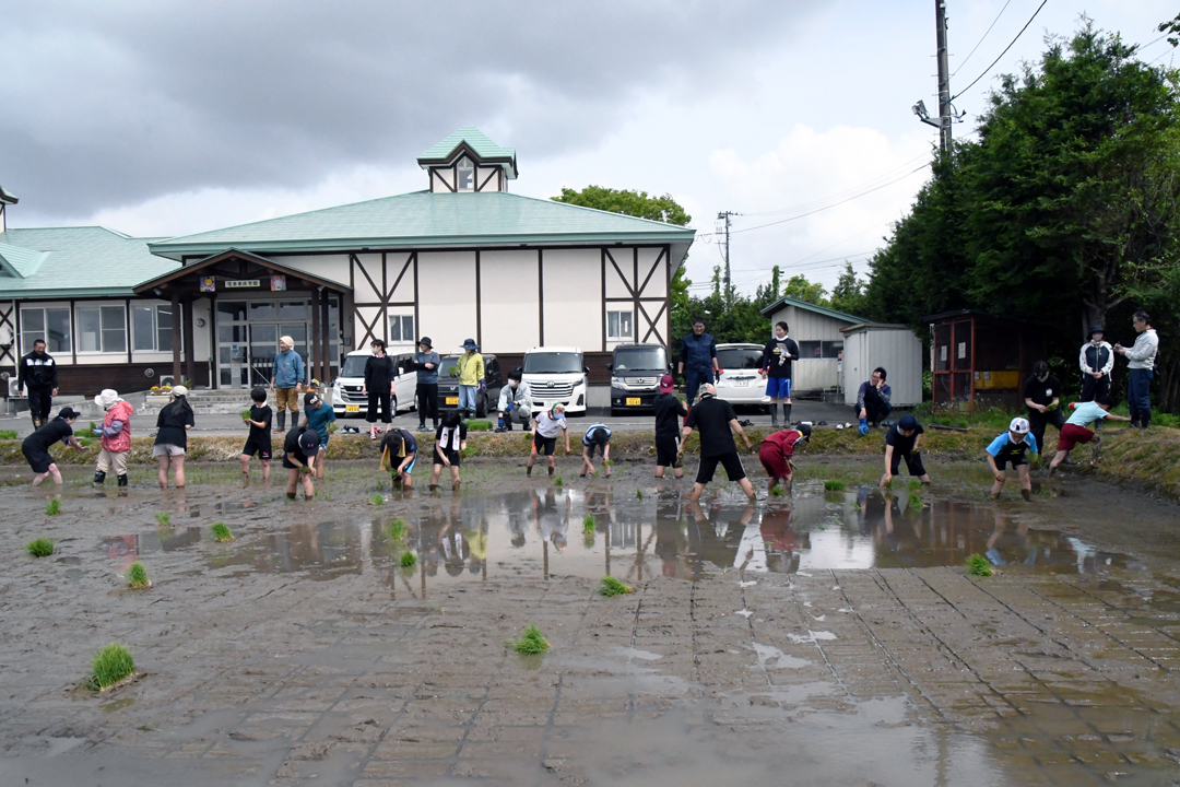 田植え