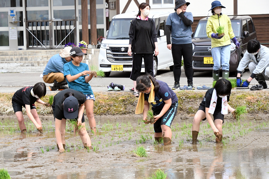 田植え