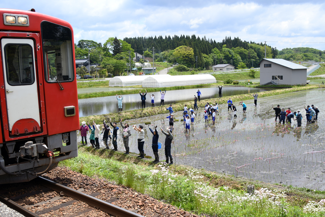 田んぼアート