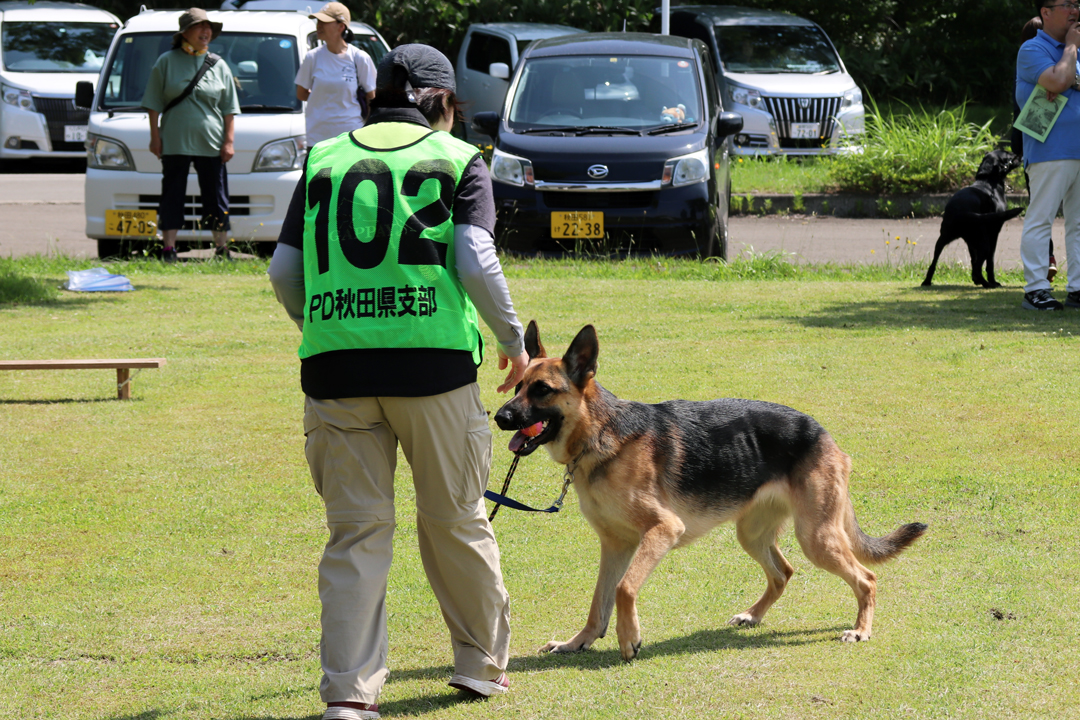 警察犬