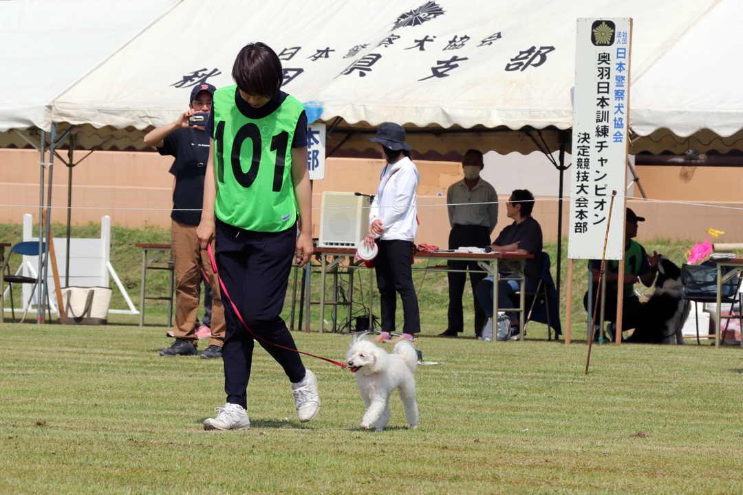 警察犬