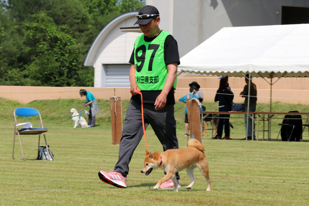 警察犬