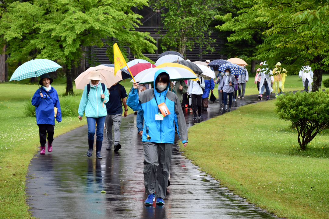 市民ウォーク