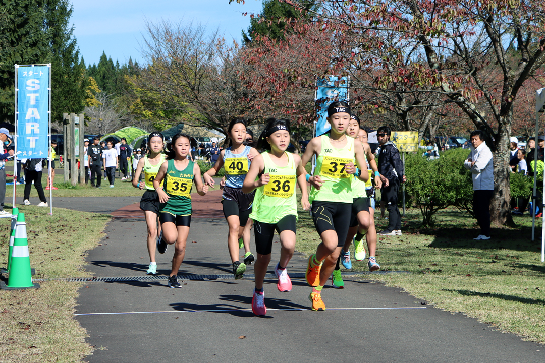 ランフェス