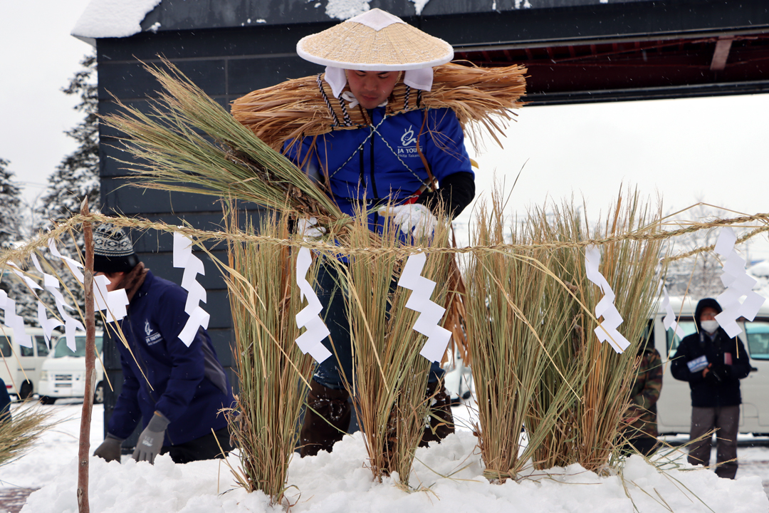 雪中田植え