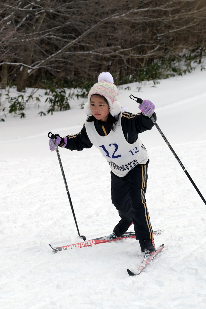 ski