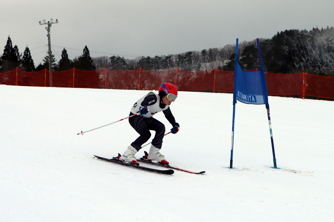 ski