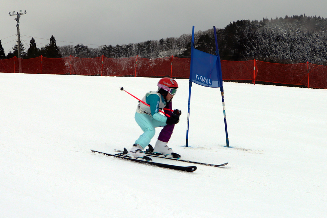 ski