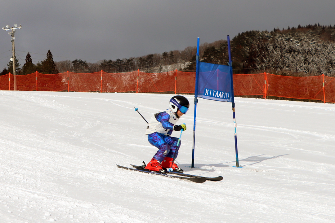 ski