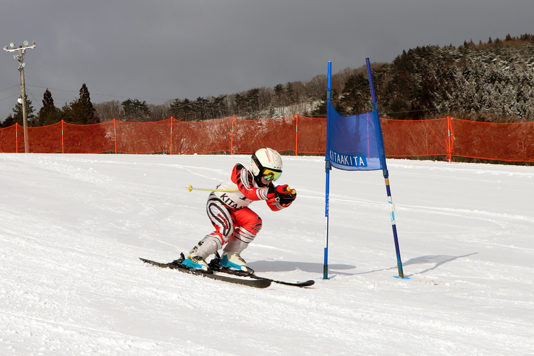 ski