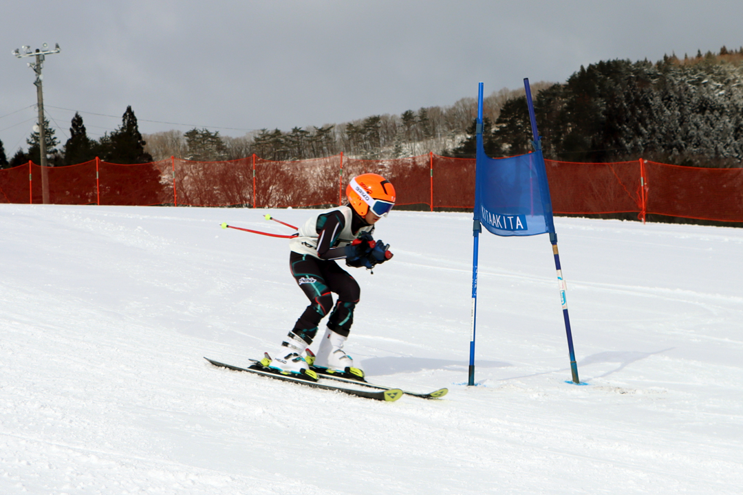 ski