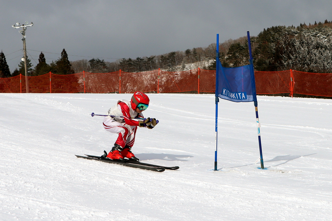 ski