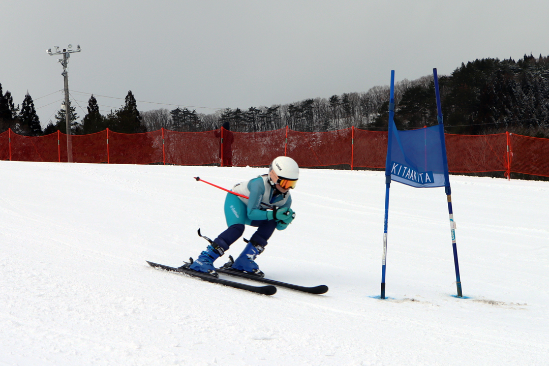ski