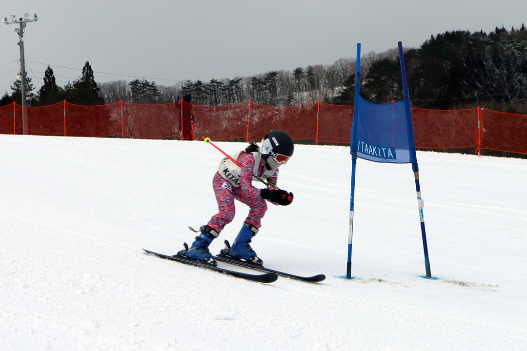 ski