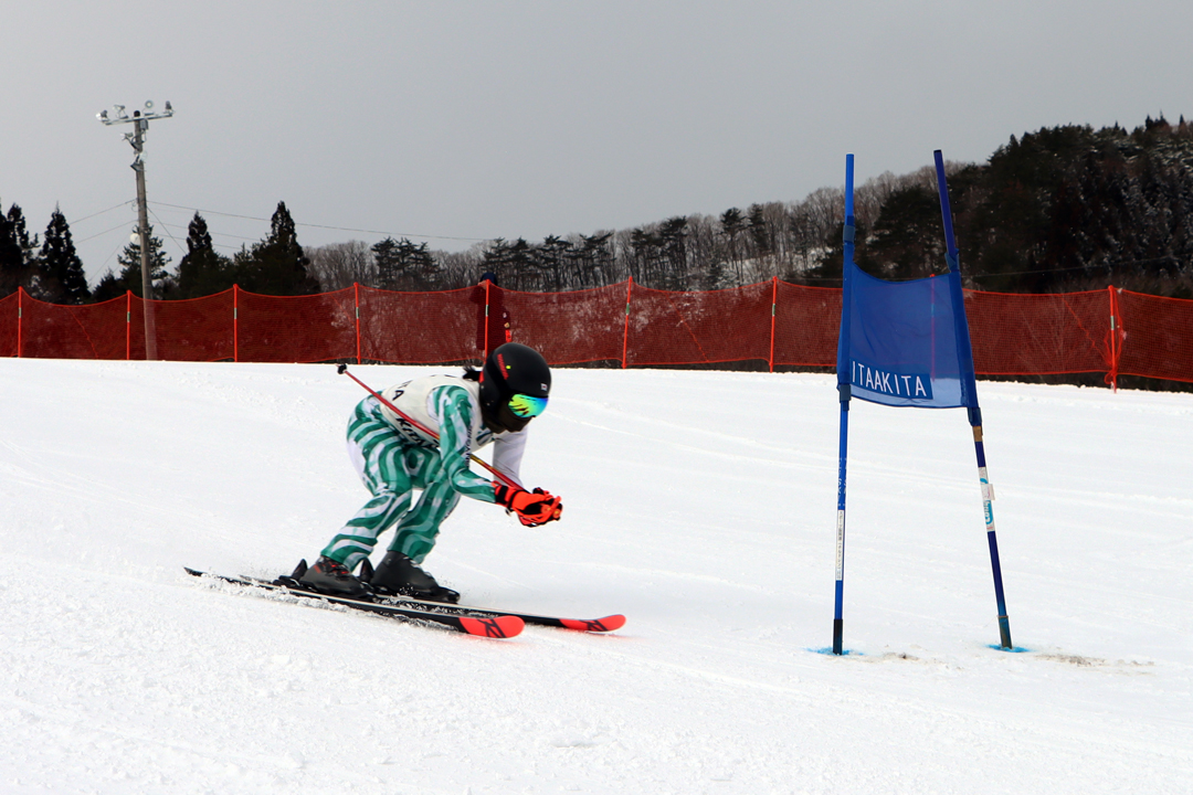 ski