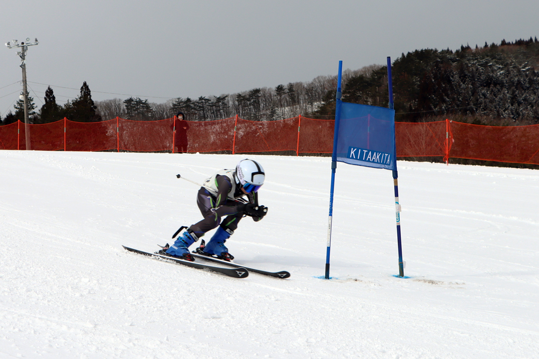 ski