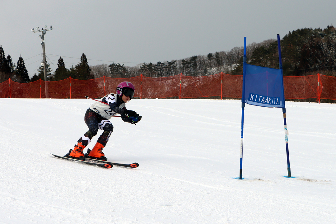 ski