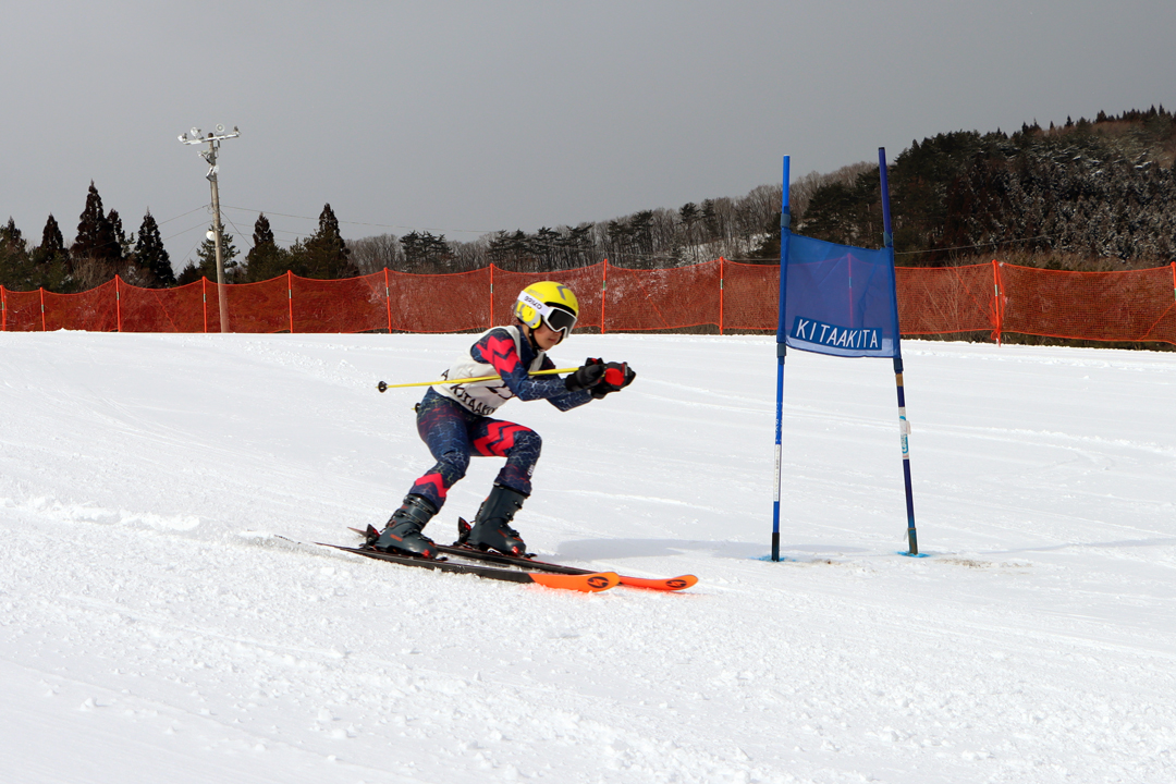 ski
