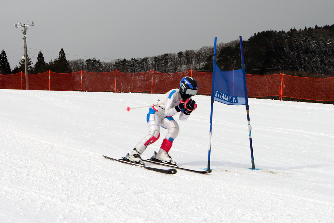 ski