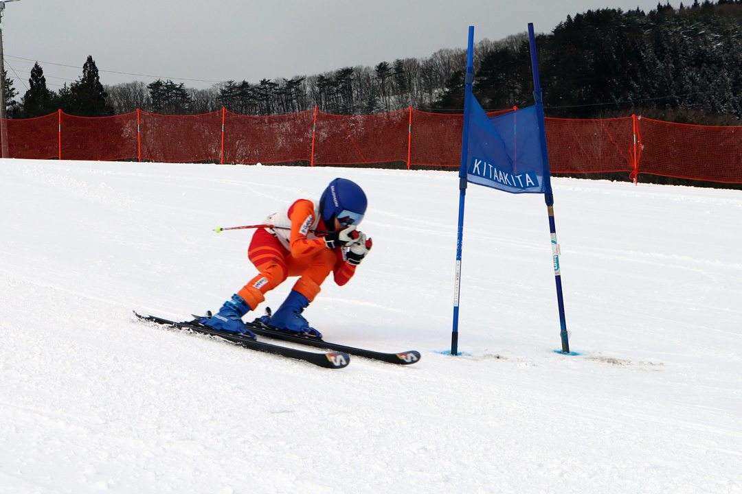 ski