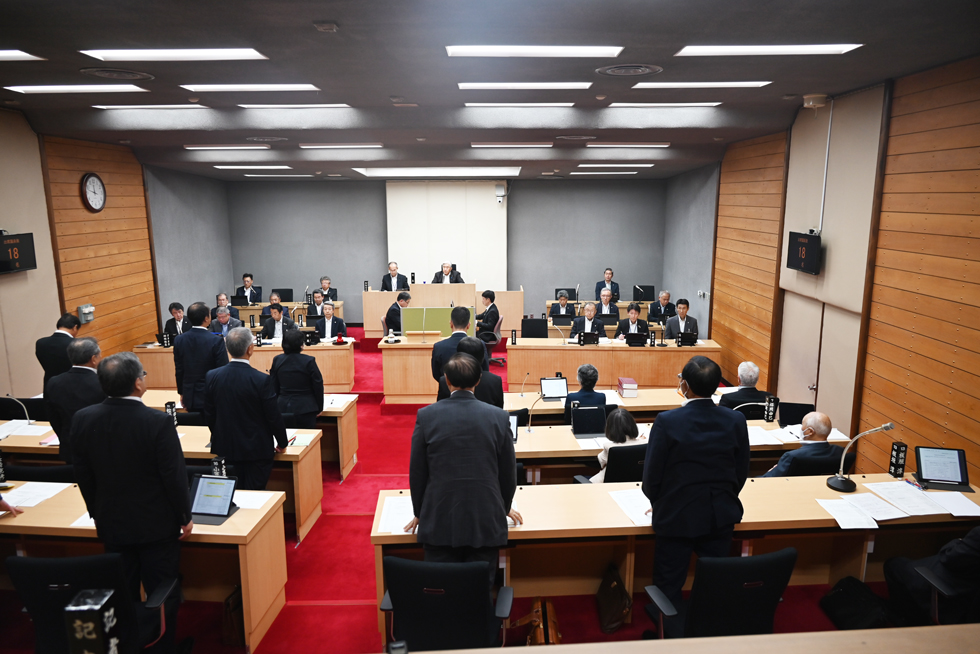 議会 [410KB]