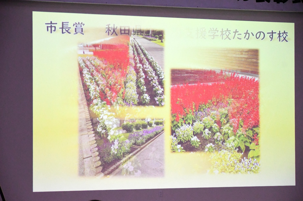 入賞となった花だんの紹介