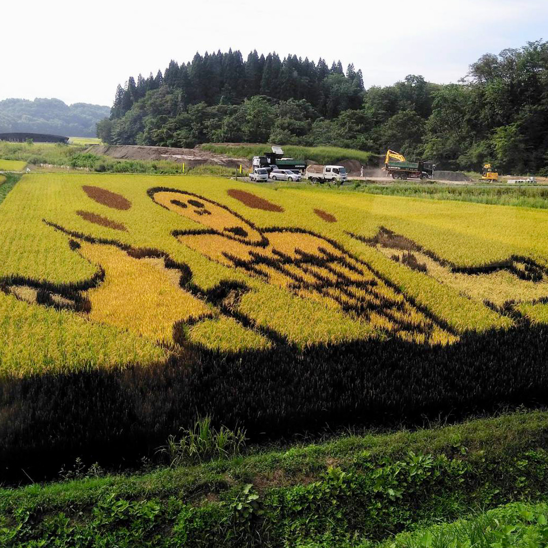 沿線5か所の田んぼアート