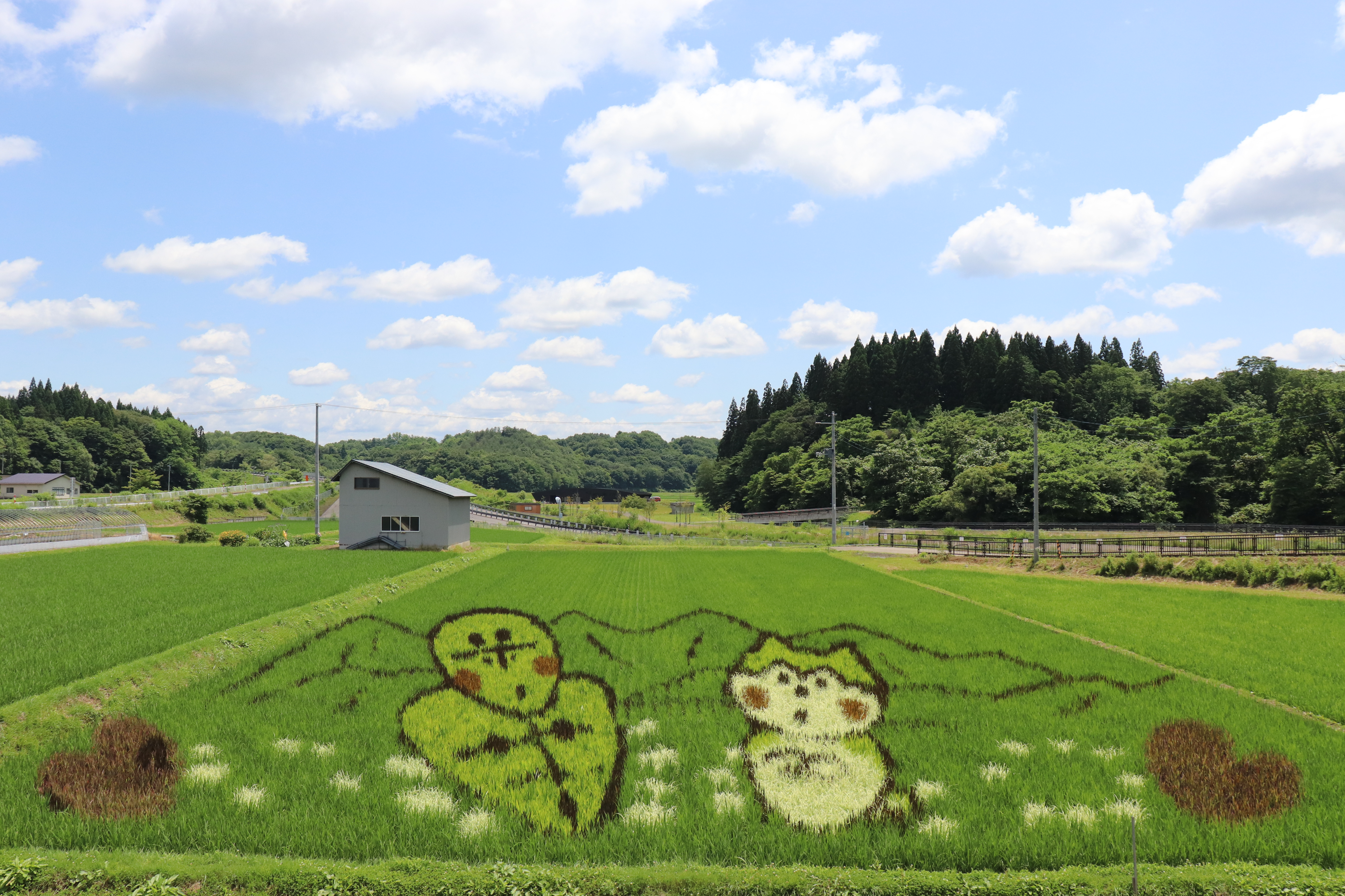 令和6年度に秋田内陸線沿線に制作する田んぼアートのデザイン案が決定